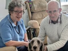 El último caniche rescatado de la Casa de los Horrores, donde dejaron morir a 250 perros en su propia suciedad, finalmente la hace feliz para siempre mientras la realojan.