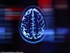 Las células cerebrales cultivadas en una placa de laboratorio y diseñadas para jugar juegos de arcade podrían ayudar a comprender el TDAH, el autismo y la depresión, afirman los científicos