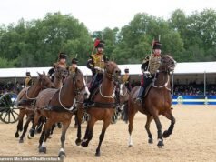 El rey Carlos está “muy conmocionado y entristecido” después de que su caballo cayera y un jinete del ejército muriera en el Royal Windsor Horse Show.