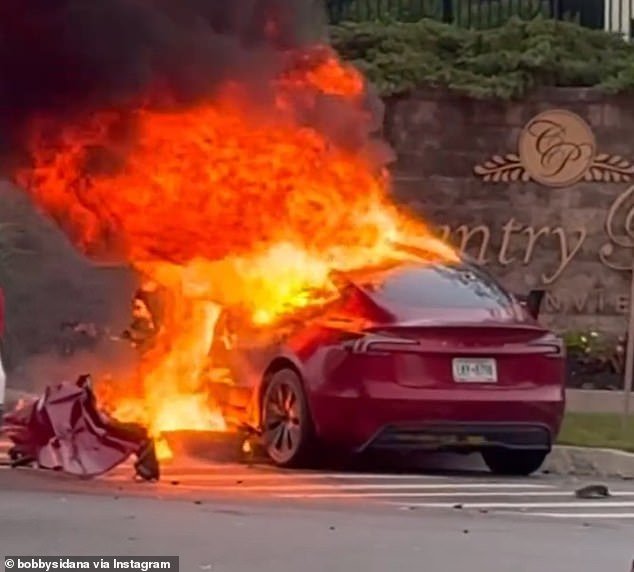 108661745-15823679-Kharbanda_suffered_third_and_fourth_degree_burns_underwent_four_-a-12_17789698110.jpeg