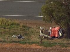 Notorio delincuente adolescente muerto después de que una ute robada se estrellara contra un árbol mientras dos adolescentes luchaban por su vida