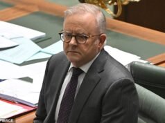 Una nueva encuesta sorprendente muestra una intensa reacción de los votantes australianos al presupuesto cargado de impuestos del gobierno albanés, mientras One Nation sube aún más