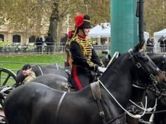 En la foto: Un soldado murió después de ser arrojado de su caballo momentos después de actuar para el Rey en el Royal Windsor Horse Show.