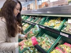 ALEX BRUMMER: La intervención al estilo soviético de Rachel Reeves para limitar el precio de la leche, el pan y los huevos es una receta estúpida y peligrosa para el desastre. Por eso temo que la historia se repita