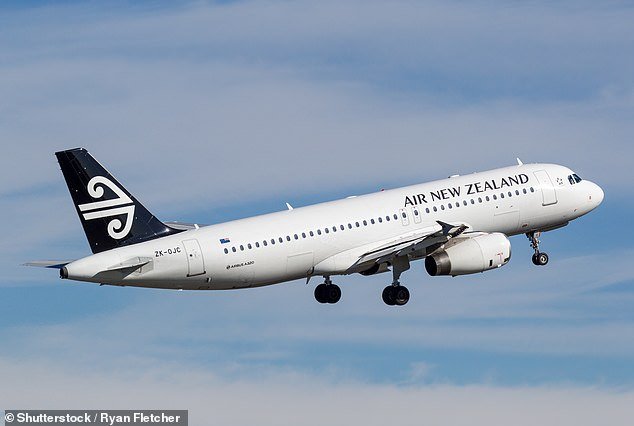 108793325-15839741-An_Air_New_Zealand_plane_was_made_an_emergency_landing_at_Brisba-a-81_17794267054.jpeg