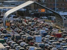 Los turistas hacen cola durante más de cuatro horas en Dover bajo un calor abrasador de 30 ° C gracias al nuevo sistema fronterizo de la UE