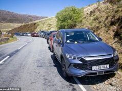 ¡Éste no es el mejor lugar para dejar tu coche! Alrededor de 80 automóviles reciben avisos de multa por estacionamiento ilegal en un punto de acceso cerca de Snowdon