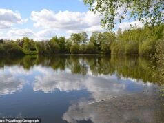 Búsqueda de un niño de 15 años desaparecido después de meterse en problemas en un lago el día más caluroso del año