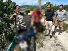 Británico arrestado después de que un “accidente de atropello y fuga en Tailandia dejó a un médico luchando por su vida”