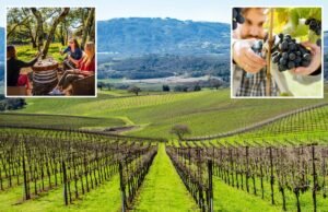Nuevos números revelan que el rival del valle de Napa amenaza la región vinícola