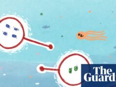 Dónde se irán de vacaciones los microplásticos este año: la caricatura de Stephen Collins
