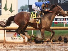 Derby de Kentucky 2026: probabilidades finales para cada ganador desde 2000