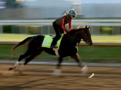 2026 Preakness Stakes: cómo verlo hoy, caballos, probabilidades, tiempo de lanzamiento, dónde transmitir y más