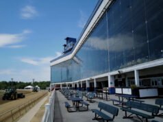 Cuotas de Preakness, apuestas, caballos, posición de puesto, campo actualizado: Taj Mahal e Incredibolt entre los favoritos para la segunda carrera de la Triple Corona