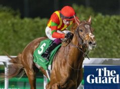 No son sólo los caballos los que sufren. Las carreras de coches también causan víctimas humanas | Carrera de caballos
