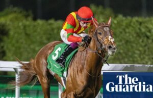No son sólo los caballos los que sufren. Las carreras de coches también causan víctimas humanas | Carrera de caballos