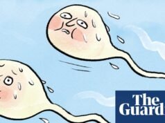 ¿Es cierto que… las saunas pueden reducir el recuento de espermatozoides? | vida y estilo