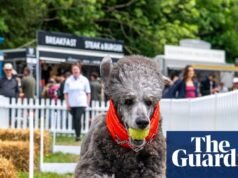 Yoga canino y ministerio del Perro: festival Goodwoof – en imágenes