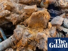 Los objetos de la Edad del Hierro en el tesoro de Melsonby podrían ofrecer una lección para hoy | Yorkshire