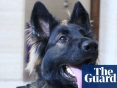 “Necesitábamos un Hitler que realmente vibrara con el perro”: conoce a Lexie, la primera cineasta del mundo | Película