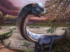 Nueva especie de dinosaurio gigante identificada a partir de restos descubiertos en Tailandia