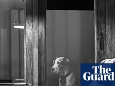“Es como si Arya, mi gran danés, estuviera contemplando el tiempo y la memoria”: la mejor foto tomada con el teléfono por Johan Van Aarde | Fotografía