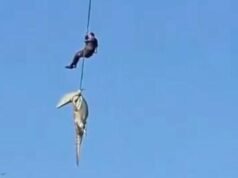 Policía desciende a río infestado de cocodrilos para recuperar restos humanos