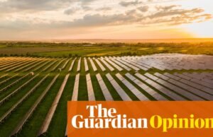La opinión de The Guardian sobre la transición verde: las políticas deberían acelerarla, y también a los hogares | Editorial