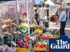 La comida fresca y asequible es la receta para una Gran Bretaña saludable | Política de salud
