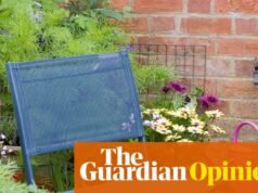 Alquilar tiene sus inconvenientes, pero decidí dejar de esperar y empezar a vivir: plantas, muebles de jardín y todo | Lucy Cosslett