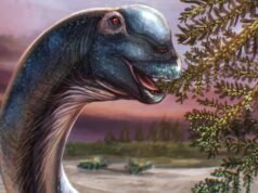 Dinosaurio gigante dos veces más grande que un T-Rex identificado a partir de fósiles tailandeses