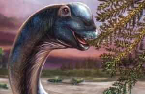 Dinosaurio gigante dos veces más grande que un T-Rex identificado a partir de fósiles tailandeses
