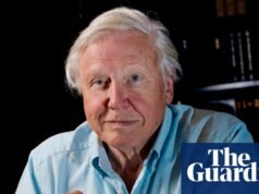 ‘Un verdadero momento que me pellizca’: recuerdos de David Attenborough cuando cumple 100 años | David Attenborough