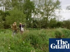 La comunidad inglesa que sacó su río del borde del abismo: “Si podemos conseguirlo aquí, podemos conseguirlo en cualquier lugar” | ríos