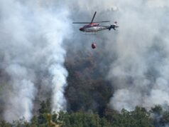 España lanzará la mayor campaña contra incendios forestales tras pérdidas récord, dice el primer ministro