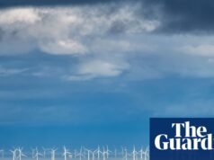 Cómo avanzar en la transición verde | Energía renovable
