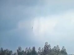 Beijing ‘encubrió el accidente suicida de un avión de línea que mató a las 132 personas a bordo’: los datos muestran que los pilotos lucharon por controlar los controles después de que los motores se detuvieron.