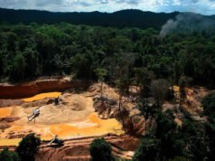 Grupos indígenas amazónicos instan a la ONU a luchar contra el crimen organizado, no a militarizar los territorios