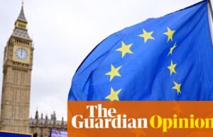 Reforma electoral y reversión del Brexit: están más vinculados de lo que se cree | Tom Baldwin
