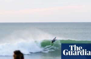 Evento de la Liga Mundial de Surf en Nueva Zelanda suspendido después de que un fotógrafo fuera mordido por un ‘tiburón o león marino’ | Navegar