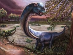 Los científicos descubren en Tailandia el fósil del dinosaurio más grande del sudeste asiático