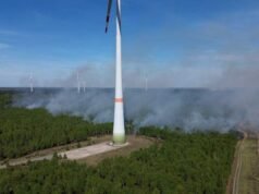 Los bomberos alemanes dejan que arda un incendio forestal en una reserva natural
