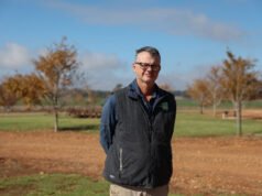 Los agricultores australianos, afectados por los costos de la guerra en Irán y el clima seco, están cultivando menos trigo.