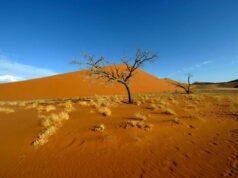 Ciudad alemana lamenta la muerte de una destacada familia en un accidente aéreo en Namibia