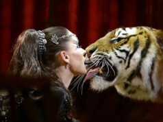 La policía mata a un tigre que huía tras herir a un hombre en Alemania