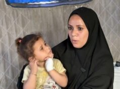 Ratas y comadrejas infestan los campos de desplazados de Gaza