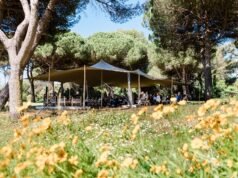CAA organiza en Cannes un simposio sobre el futuro del cine
