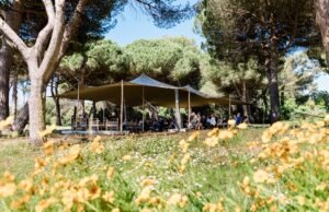 CAA organiza en Cannes un simposio sobre el futuro del cine