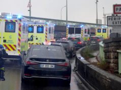 Un ciudadano francés muestra síntomas tras regresar de un barco afectado por hantavirus