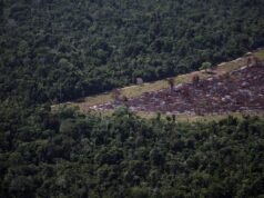 Brasil retrasa la prohibición de préstamos rurales subsidiados para áreas deforestadas